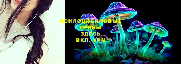 винт Александровское
