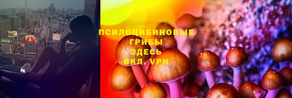 прущий лед Ельня
