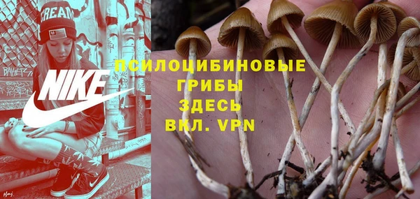 круглые Елизово