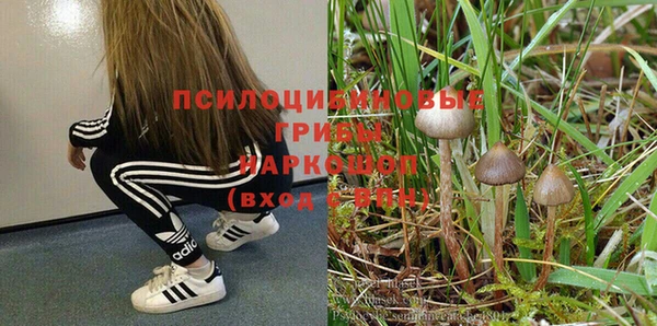 прущий лед Ельня