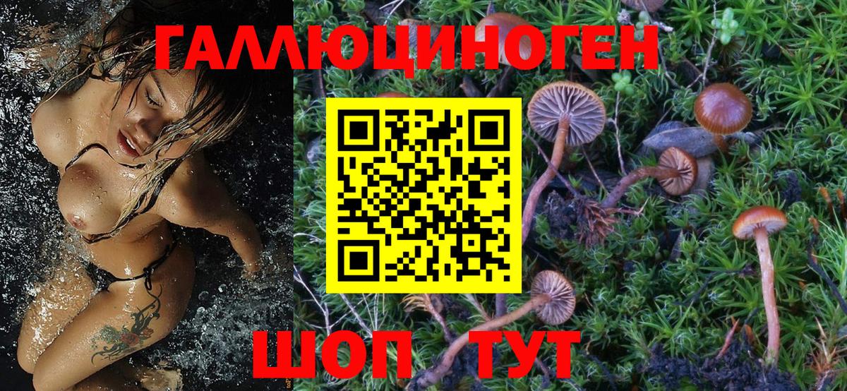 Псилоцибиновые грибы GOLDEN TEACHER Ирбит