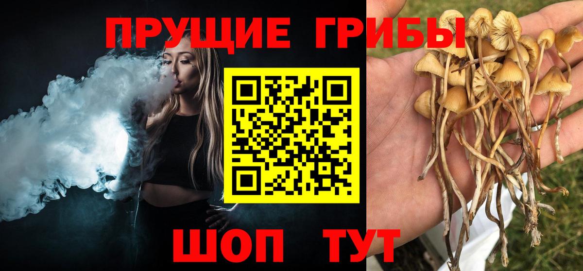 Галлюциногенные грибы MAGIC MUSHROOMS  Вход с VPN  Ирбит 